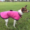 Maggie